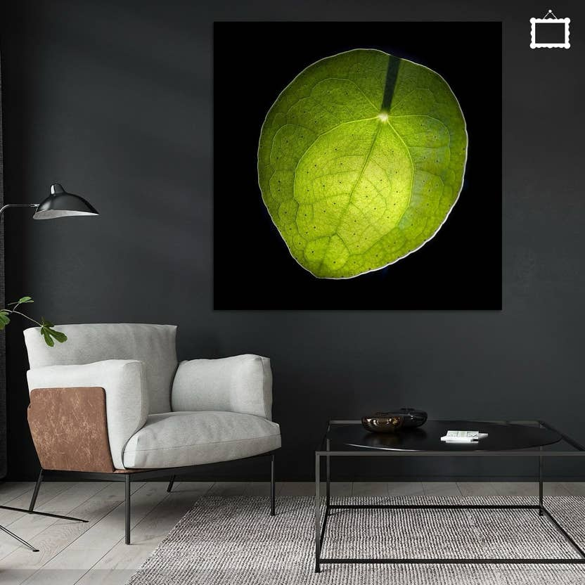 Foto van een groen blad in een woonkamer aan de muur als wanddecoratie te bestellen bij werk aan de muur.