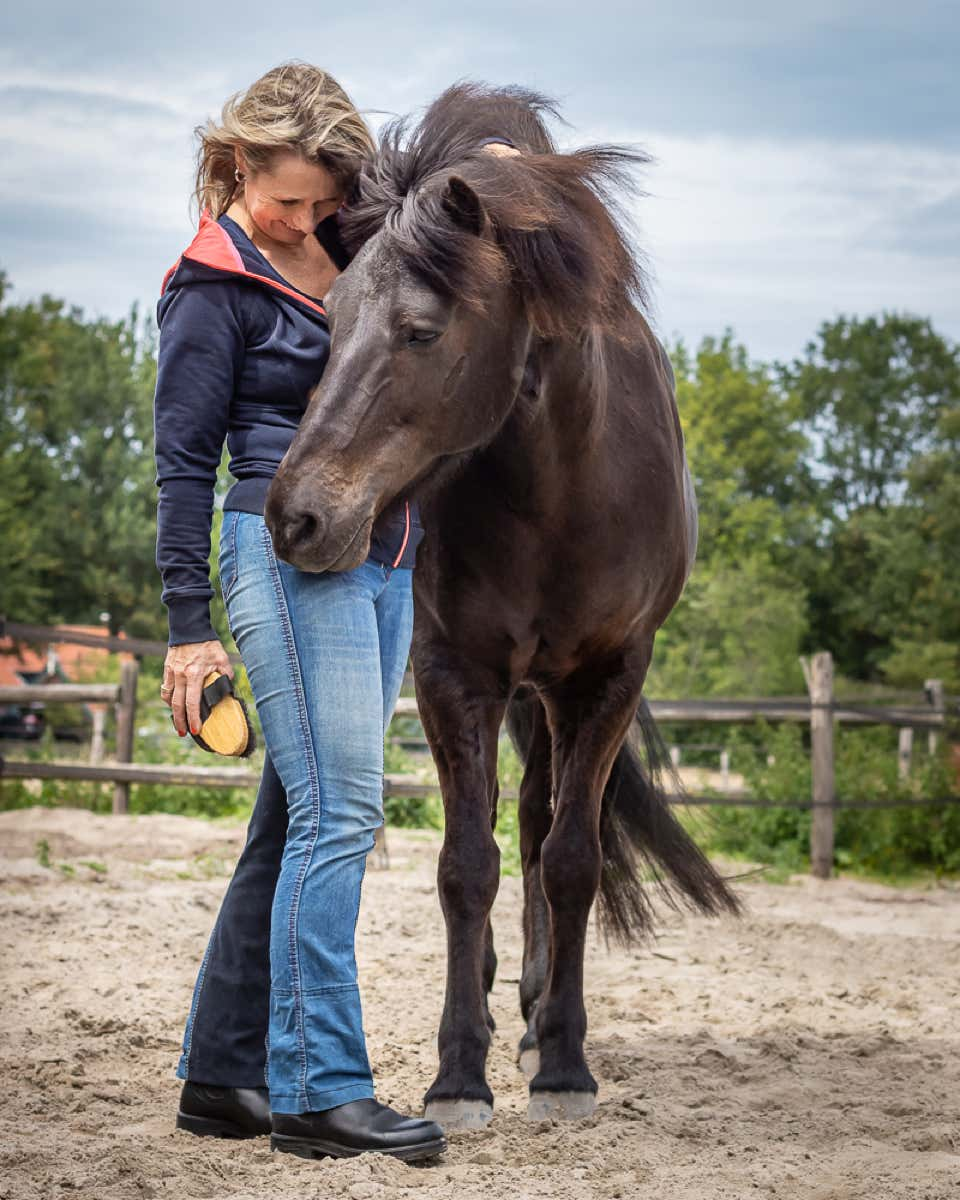 Het vastleggen van de relatie met je dier middels fotografie biedt een manier om de diepe band en de vele bijzondere momenten die jullie samen delen te documenteren en te koesteren. Het is een investering in herinneringen die een leven lang meegaan.