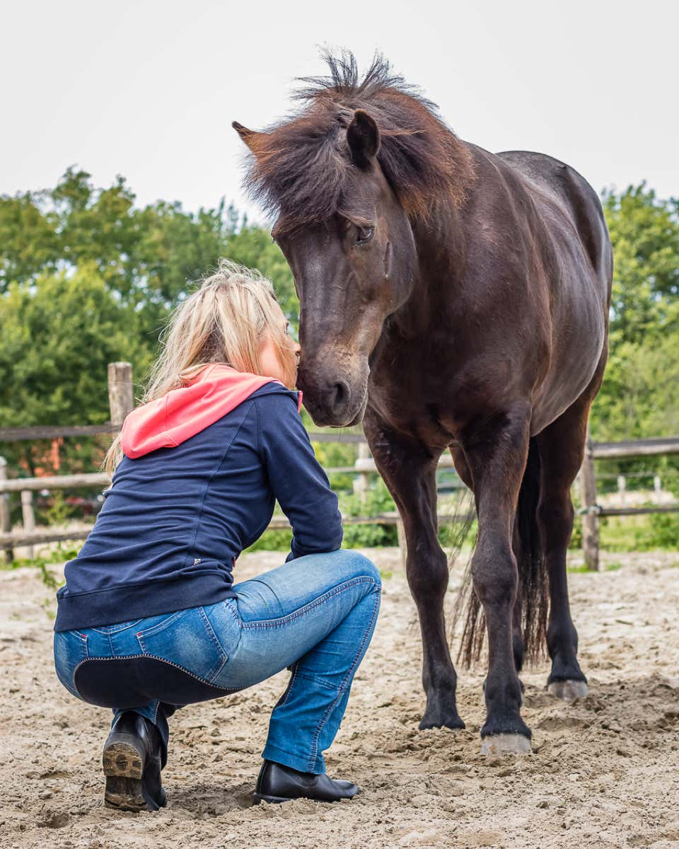 Foto's kunnen het verhaal van de groei en ontwikkeling van je relatie met je huisdier vertellen. Van het eerste moment dat je je huisdier ontmoette tot belangrijke mijlpalen en avonturen die jullie samen beleefden.